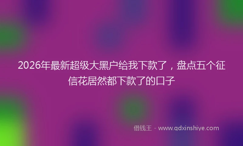 2026年最新超级大黑户给我下款了，盘点五个征信花居然都下款了的口子