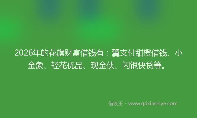 2026年的花旗财富借钱有：翼支付甜橙借钱、小金象、轻花优品、现金侠、闪银快贷等。