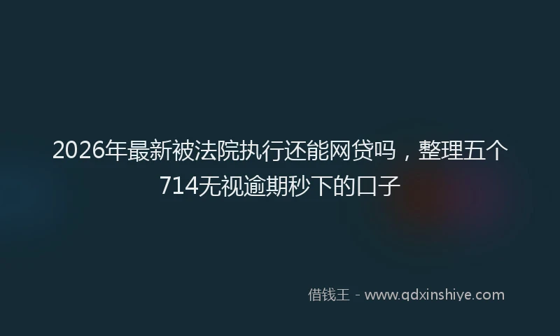 2026年最新被法院执行还能网贷吗，整理五个714无视逾期秒下的口子