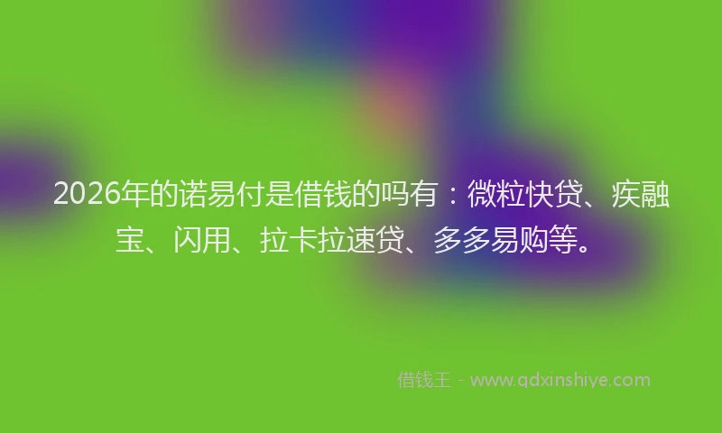 2026年的诺易付是借钱的吗有：微粒快贷、疾融宝、闪用、拉卡拉速贷、多多易购等。