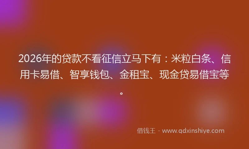 2026年的贷款不看征信立马下有：米粒白条、信用卡易借、智享钱包、金租宝、现金贷易借宝等。