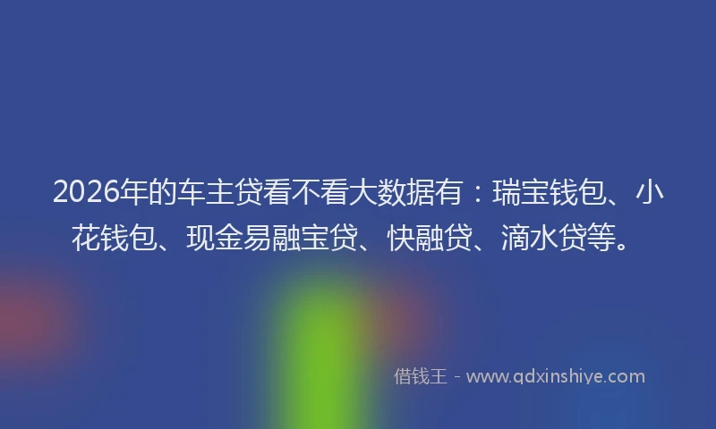 2026年的车主贷看不看大数据有：瑞宝钱包、小花钱包、现金易融宝贷、快融贷、滴水贷等。