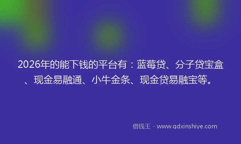 2026年的能下钱的平台有：蓝莓贷、分子贷宝盒、现金易融通、小牛金条、现金贷易融宝等。