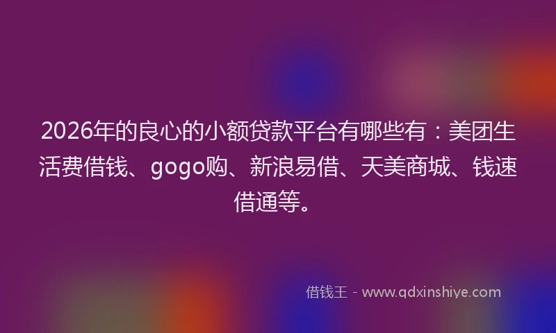 2026年的良心的小额贷款平台有哪些有：美团生活费借钱、gogo购、新浪易借、天美商城、钱速借通等。