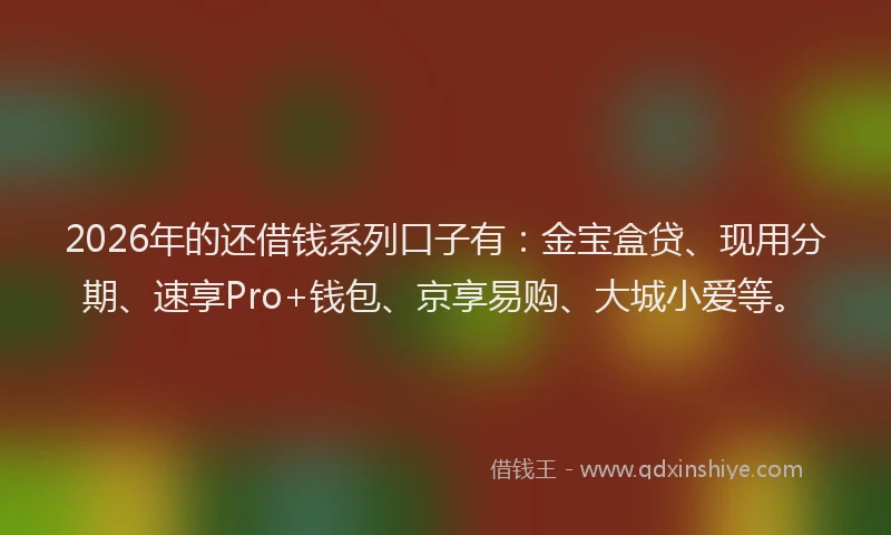 2026年的还借钱系列口子有：金宝盒贷、现用分期、速享Pro+钱包、京享易购、大城小爱等。