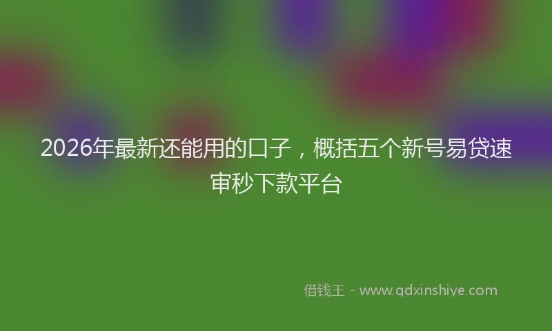 2026年最新还能用的口子，概括五个新号易贷速审秒下款平台
