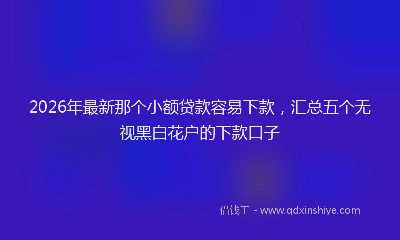 2026年最新那个小额贷款容易下款，汇总五个无视黑白花户的下款口子