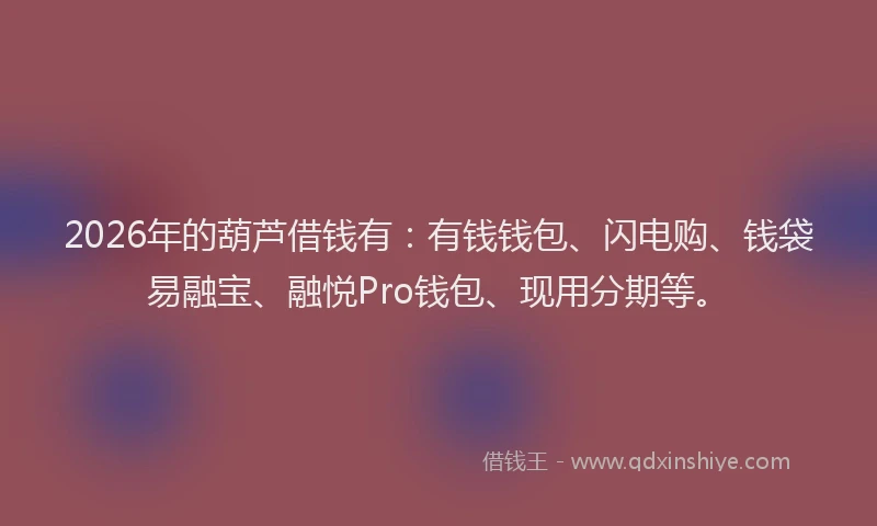 2026年的葫芦借钱有：有钱钱包、闪电购、钱袋易融宝、融悦Pro钱包、现用分期等。