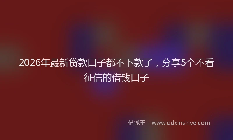 2026年最新贷款口子都不下款了，分享5个不看征信的借钱口子