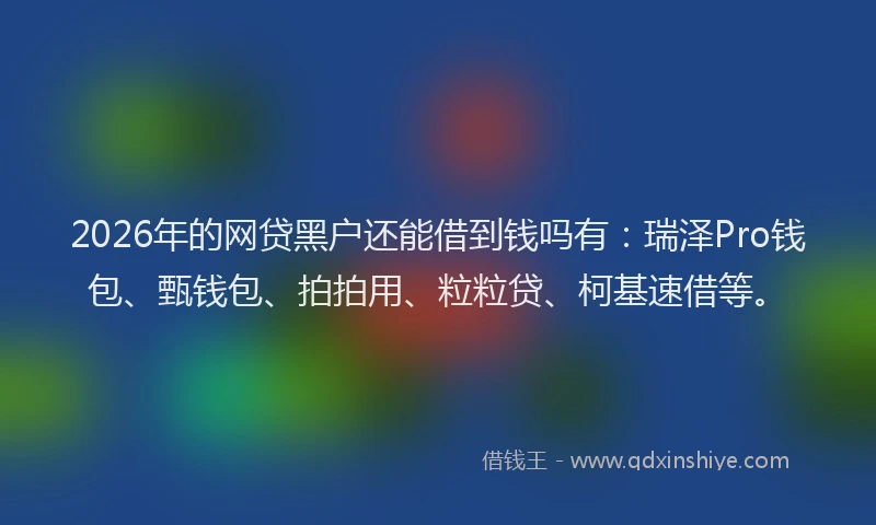2026年的网贷黑户还能借到钱吗有：瑞泽Pro钱包、甄钱包、拍拍用、粒粒贷、柯基速借等。