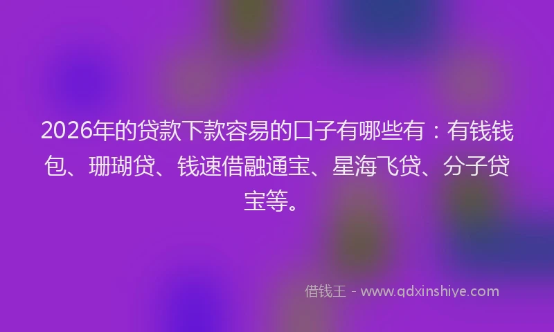 2026年的贷款下款容易的口子有哪些有：有钱钱包、珊瑚贷、钱速借融通宝、星海飞贷、分子贷宝等。
