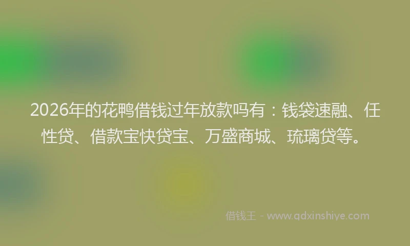 2026年的花鸭借钱过年放款吗有：钱袋速融、任性贷、借款宝快贷宝、万盛商城、琉璃贷等。