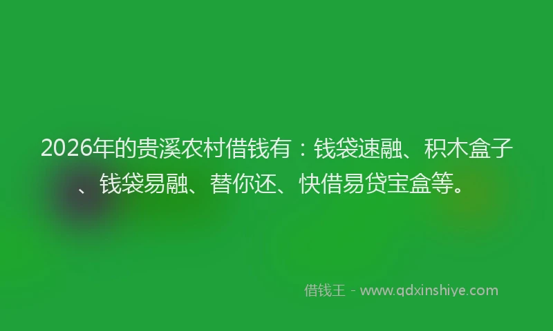 2026年的贵溪农村借钱有：钱袋速融、积木盒子、钱袋易融、替你还、快借易贷宝盒等。