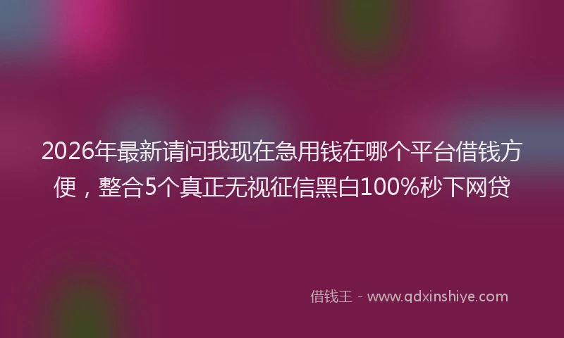 2026年最新请问我现在急用钱在哪个平台借钱方便，整合5个真正无视征信黑白100%秒下网贷