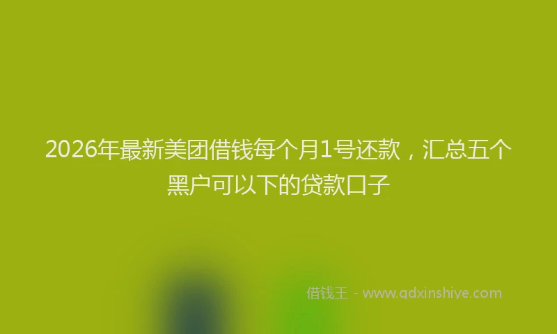 2026年最新美团借钱每个月1号还款，汇总五个黑户可以下的贷款口子