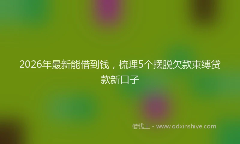 2026年最新能借到钱，梳理5个摆脱欠款束缚贷款新口子