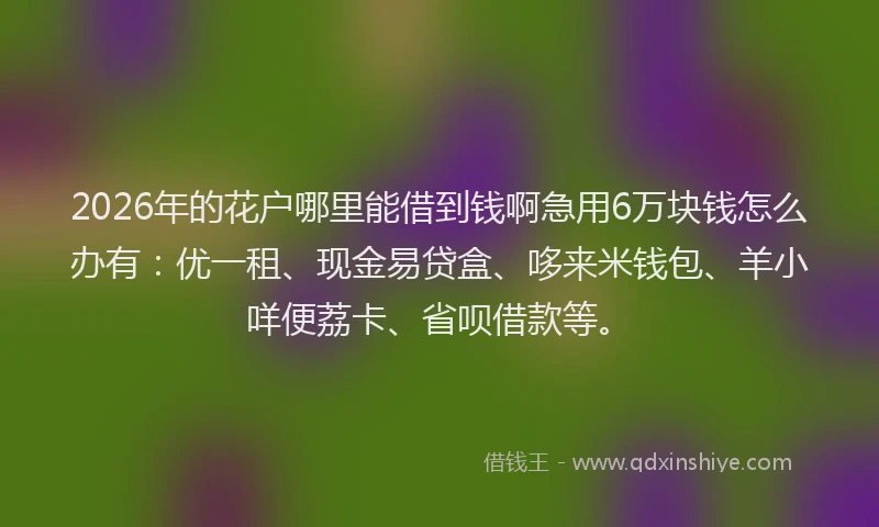 2026年的花户哪里能借到钱啊急用6万块钱怎么办有：优一租、现金易贷盒、哆来米钱包、羊小咩便荔卡、省呗借款等。