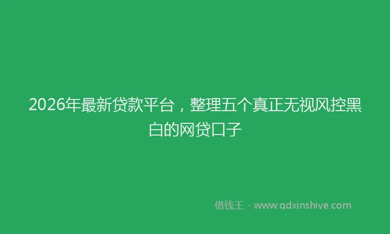 2026年最新贷款平台，整理五个真正无视风控黑白的网贷口子