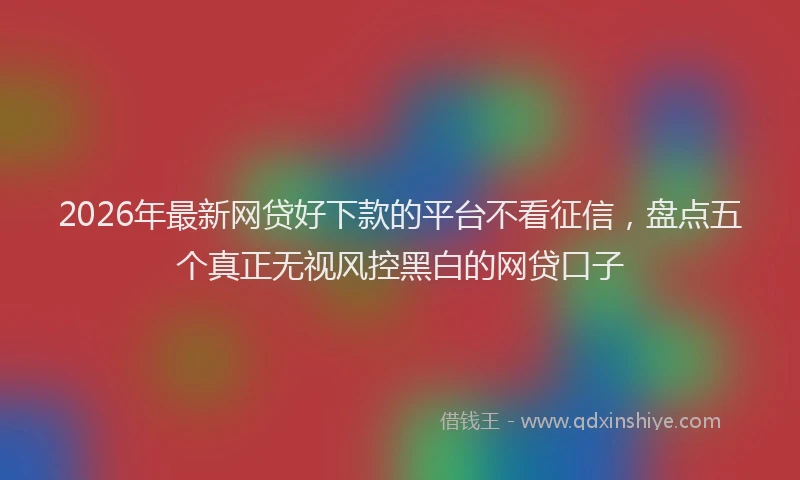 2026年最新网贷好下款的平台不看征信，盘点五个真正无视风控黑白的网贷口子