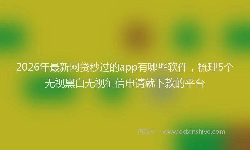 2026年最新网贷秒过的app有哪些软件，梳理5个无视黑白无视征信申请就下款的平台