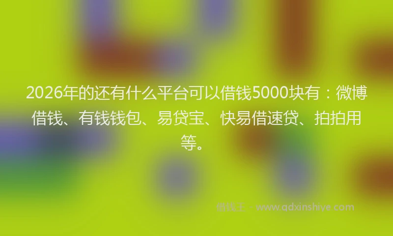 2026年的还有什么平台可以借钱5000块有：微博借钱、有钱钱包、易贷宝、快易借速贷、拍拍用等。