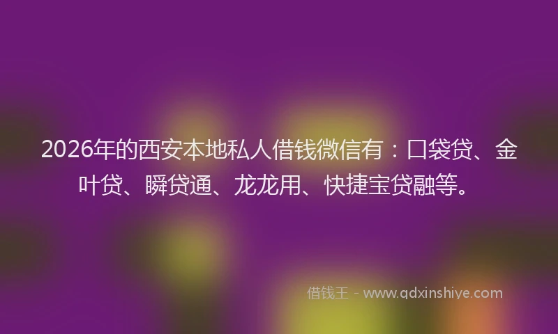 2026年的西安本地私人借钱微信有：口袋贷、金叶贷、瞬贷通、龙龙用、快捷宝贷融等。