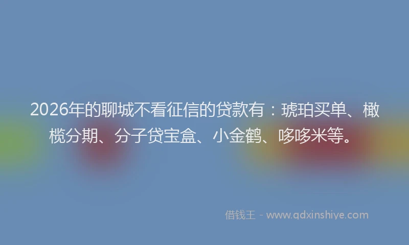 2026年的聊城不看征信的贷款有：琥珀买单、橄榄分期、分子贷宝盒、小金鹤、哆哆米等。