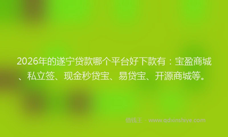 2026年的遂宁贷款哪个平台好下款有：宝盈商城、私立签、现金秒贷宝、易贷宝、开源商城等。