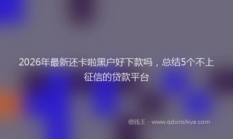 2026年最新还卡啦黑户好下款吗，总结5个不上征信的贷款平台