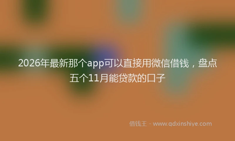 2026年最新那个app可以直接用微信借钱，盘点五个11月能贷款的口子