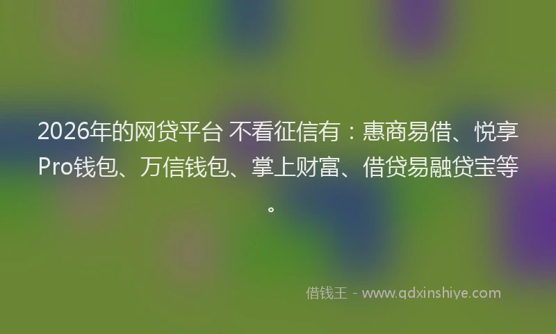 2026年的网贷平台 不看征信有：惠商易借、悦享Pro钱包、万信钱包、掌上财富、借贷易融贷宝等。