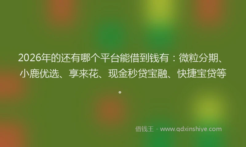 2026年的还有哪个平台能借到钱有：微粒分期、小鹿优选、享来花、现金秒贷宝融、快捷宝贷等。