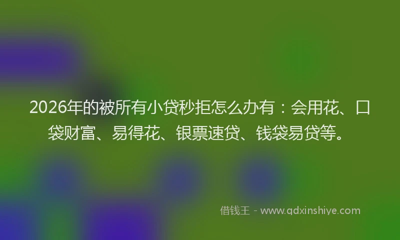 2026年的被所有小贷秒拒怎么办有：会用花、口袋财富、易得花、银票速贷、钱袋易贷等。