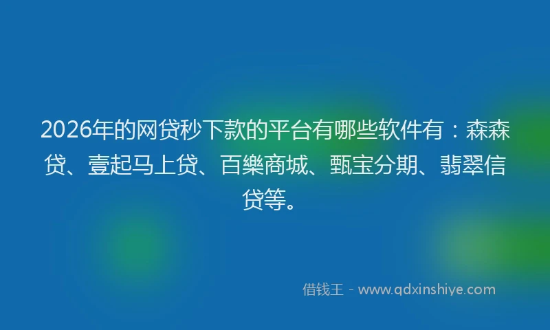 2026年的网贷秒下款的平台有哪些软件有：森森贷、壹起马上贷、百樂商城、甄宝分期、翡翠信贷等。