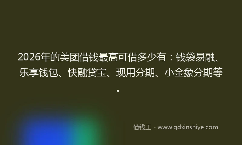 2026年的美团借钱最高可借多少有：钱袋易融、乐享钱包、快融贷宝、现用分期、小金象分期等。