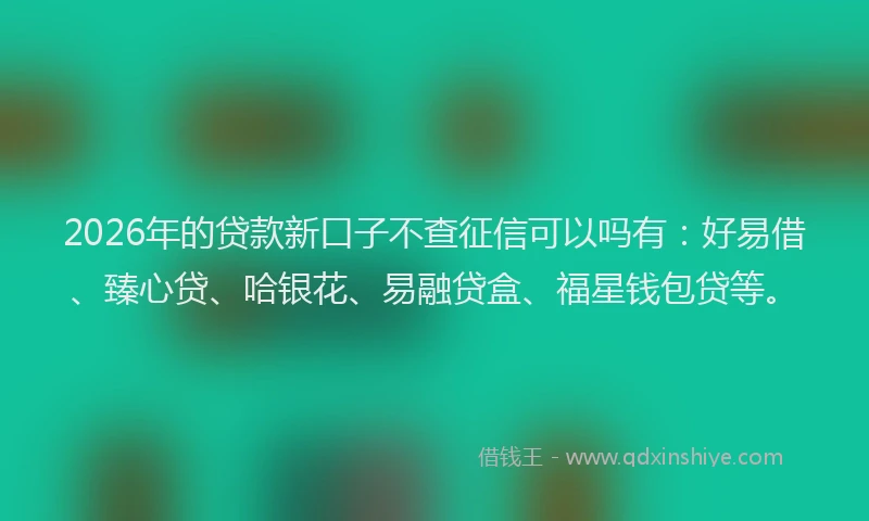 2026年的贷款新口子不查征信可以吗有：好易借、臻心贷、哈银花、易融贷盒、福星钱包贷等。