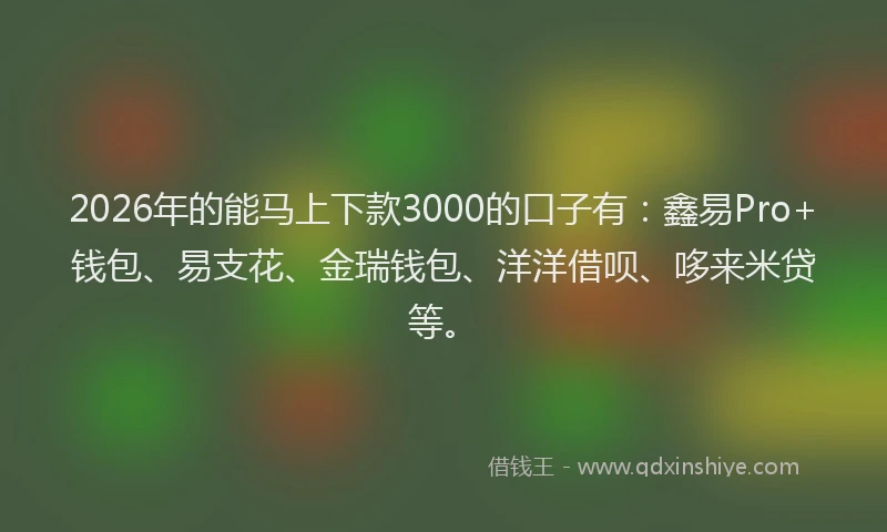 2026年的能马上下款3000的口子有：鑫易Pro+钱包、易支花、金瑞钱包、洋洋借呗、哆来米贷等。