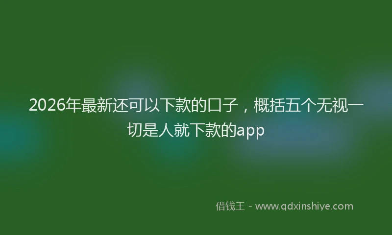 2026年最新还可以下款的口子，概括五个无视一切是人就下款的app