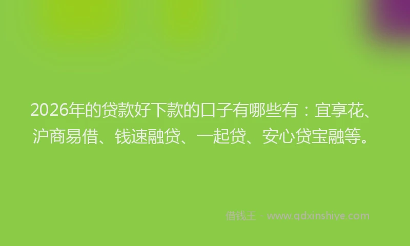 2026年的贷款好下款的口子有哪些有：宜享花、沪商易借、钱速融贷、一起贷、安心贷宝融等。