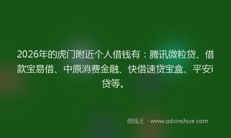 2026年的虎门附近个人借钱有：腾讯微粒贷、借款宝易借、中原消费金融、快借速贷宝盒、平安i贷等。