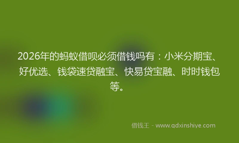 2026年的蚂蚁借呗必须借钱吗有：小米分期宝、好优选、钱袋速贷融宝、快易贷宝融、时时钱包等。