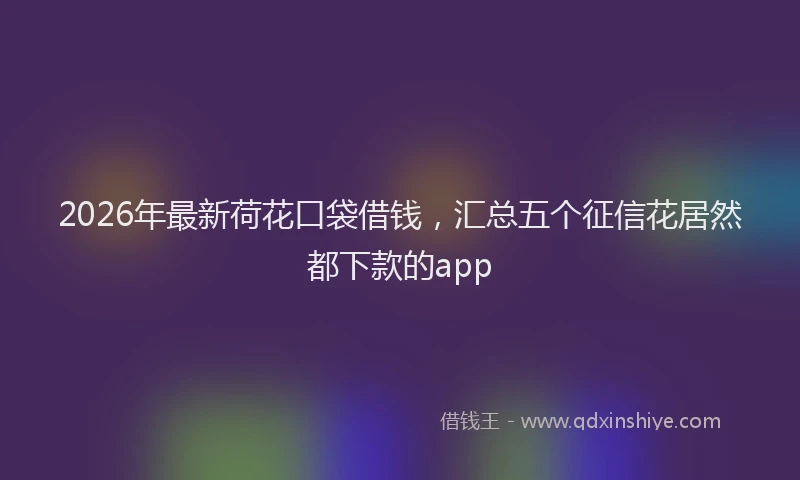 2026年最新荷花口袋借钱，汇总五个征信花居然都下款的app
