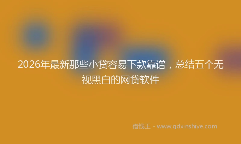 2026年最新那些小贷容易下款靠谱，总结五个无视黑白的网贷软件