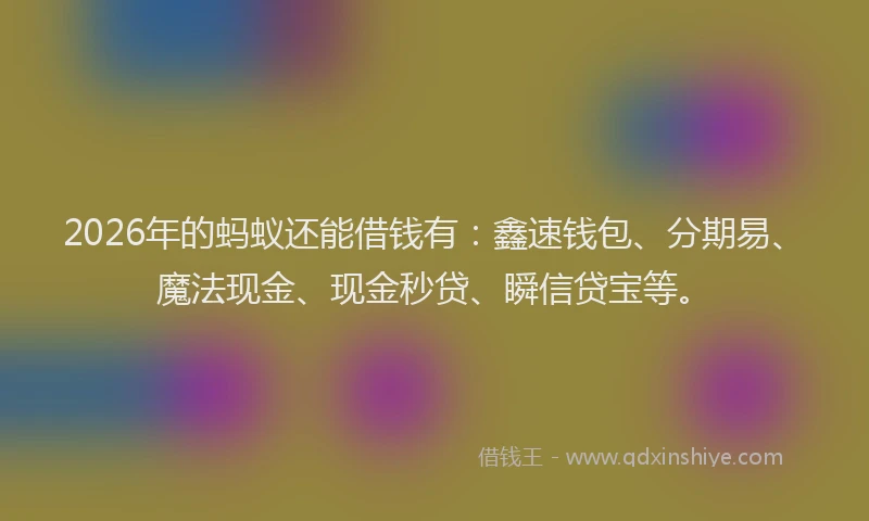 2026年的蚂蚁还能借钱有：鑫速钱包、分期易、魔法现金、现金秒贷、瞬信贷宝等。