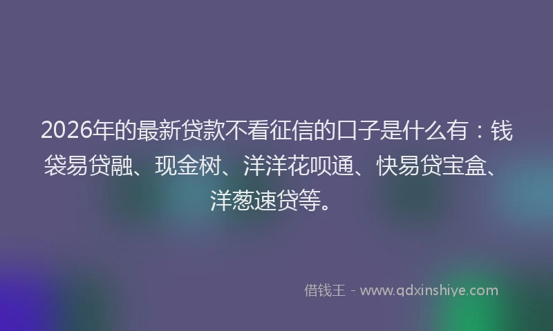 2026年的最新贷款不看征信的口子是什么有：钱袋易贷融、现金树、洋洋花呗通、快易贷宝盒、洋葱速贷等。