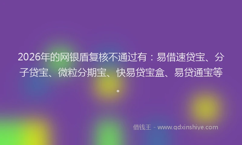 2026年的网银盾复核不通过有：易借速贷宝、分子贷宝、微粒分期宝、快易贷宝盒、易贷通宝等。