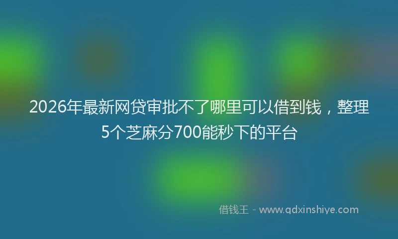 2026年最新网贷审批不了哪里可以借到钱，整理5个芝麻分700能秒下的平台