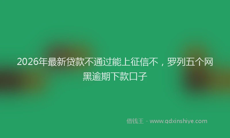 2026年最新贷款不通过能上征信不，罗列五个网黑逾期下款口子