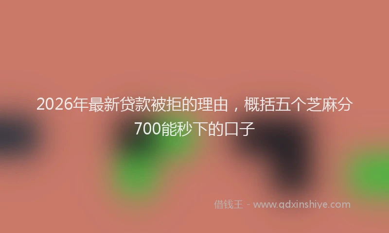 2026年最新贷款被拒的理由，概括五个芝麻分700能秒下的口子