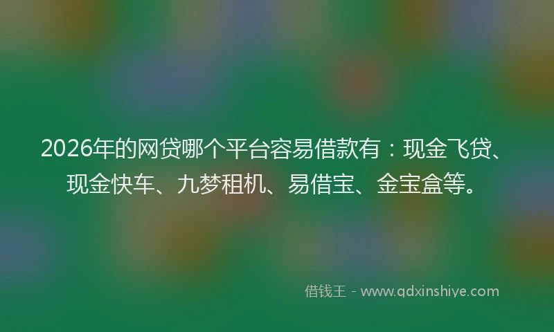 2026年的网贷哪个平台容易借款有：现金飞贷、现金快车、九梦租机、易借宝、金宝盒等。